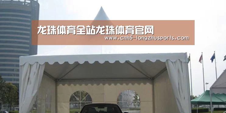 案例标题八
