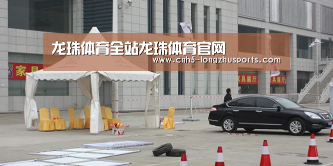 案例标题六