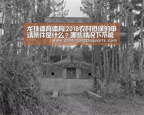 龙珠体育体育|2018农村低保的申请条件是什么?哪些情况下不能申请?(图2) 龙珠体育