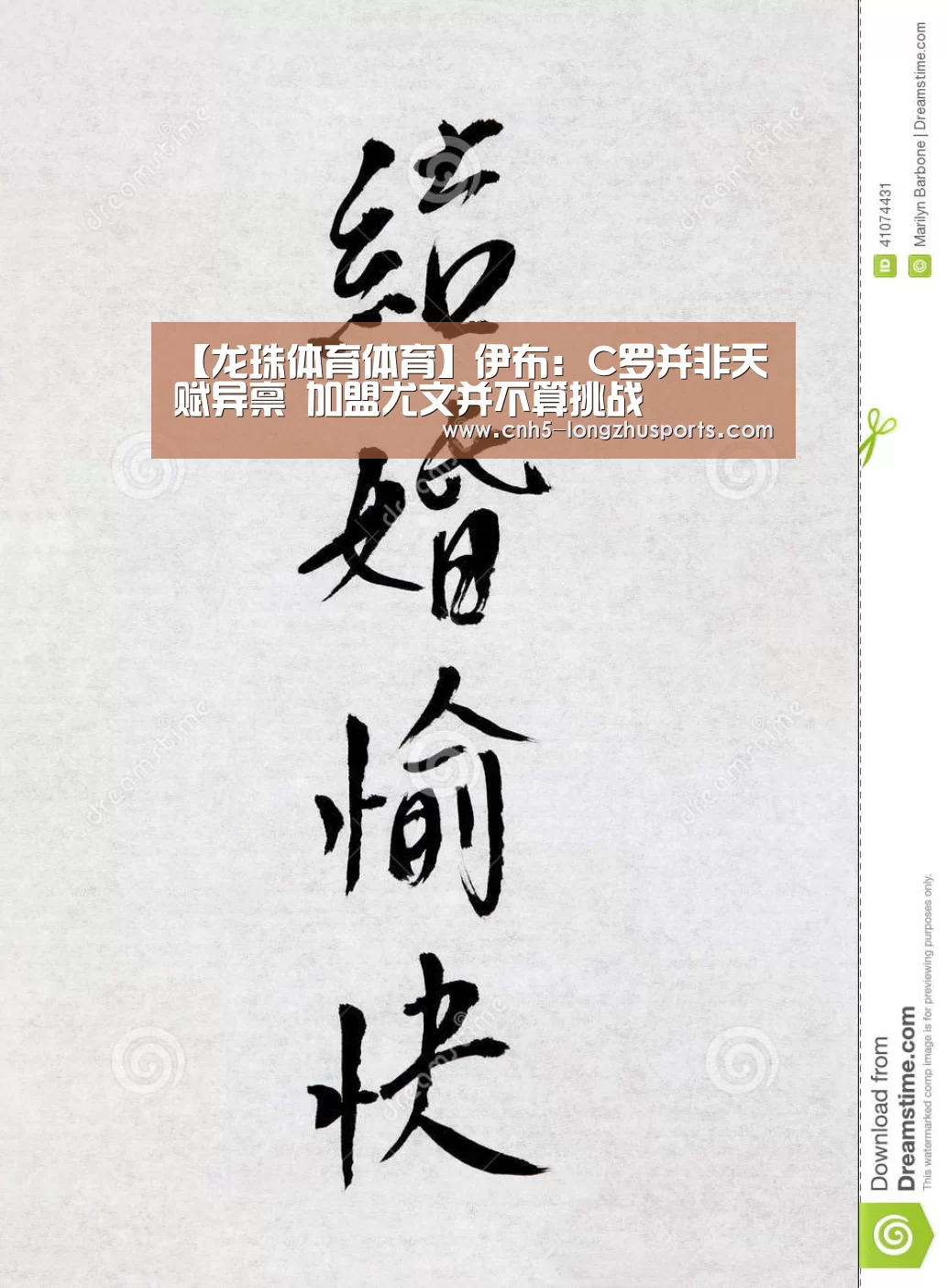 龙珠体育