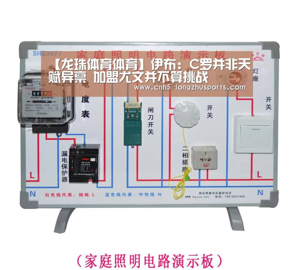 龙珠体育