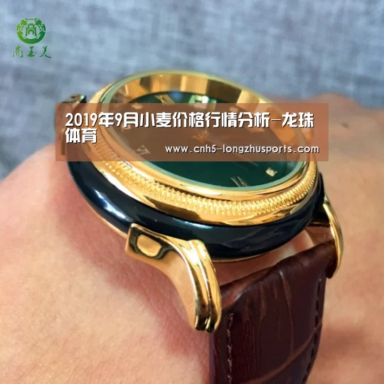 龙珠体育体育