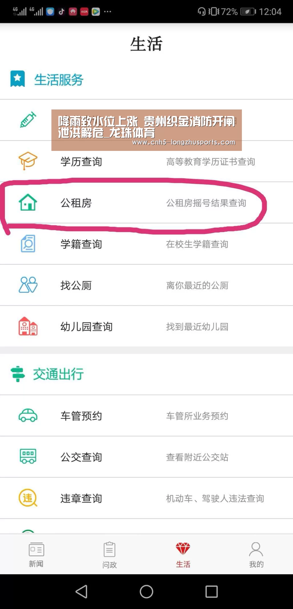 龙珠体育