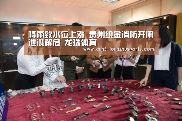 龙珠体育