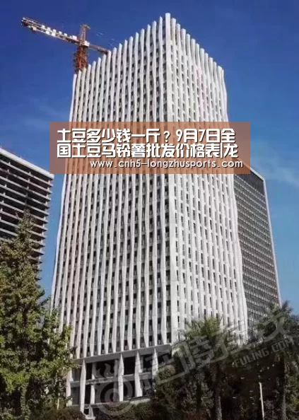 龙珠体育
