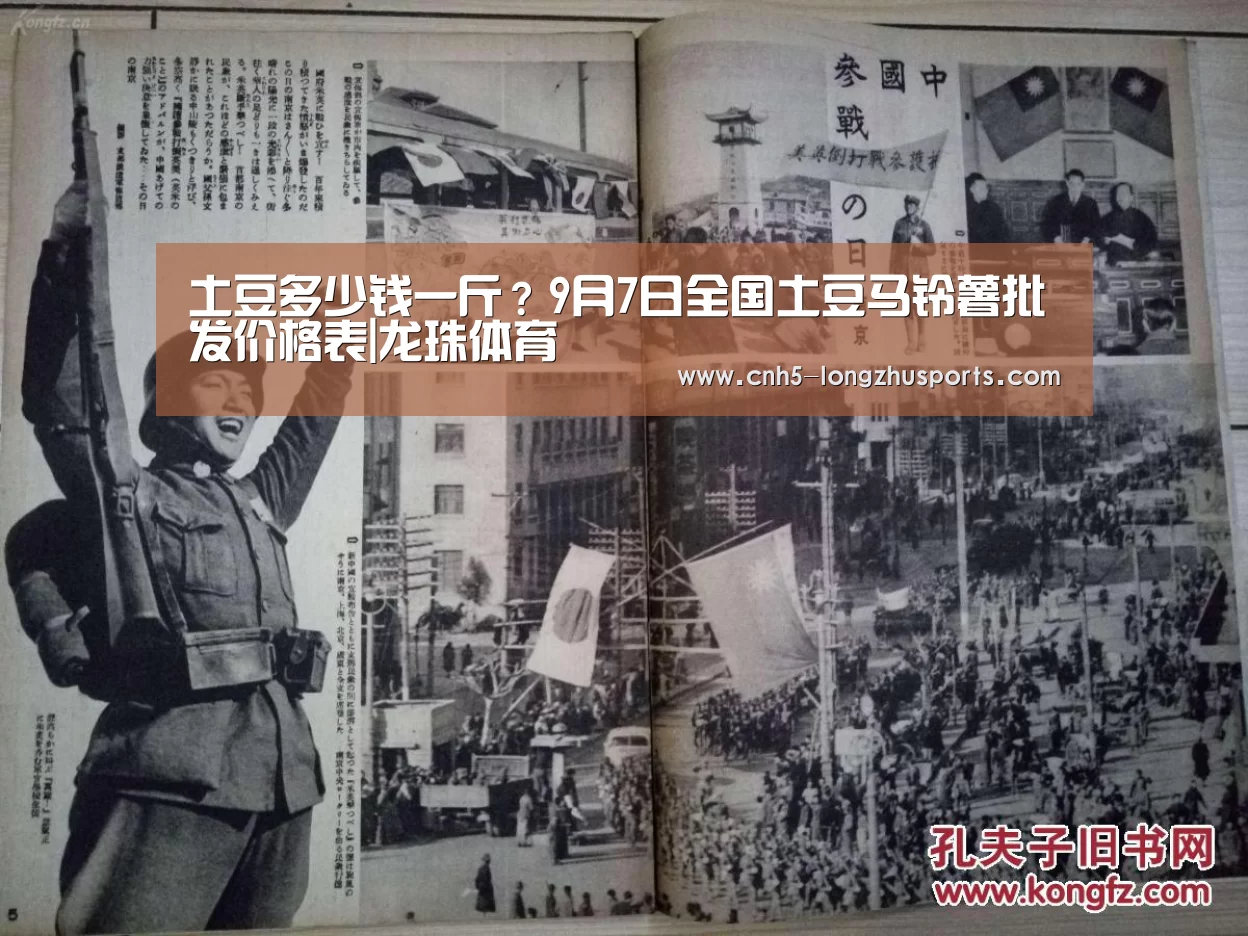 龙珠体育