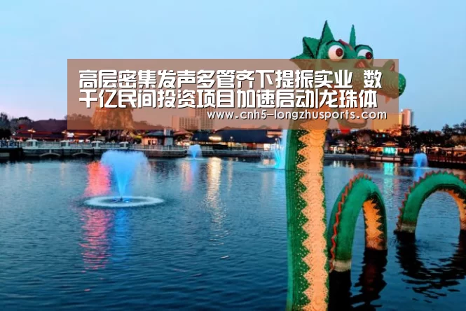 龙珠体育体育
