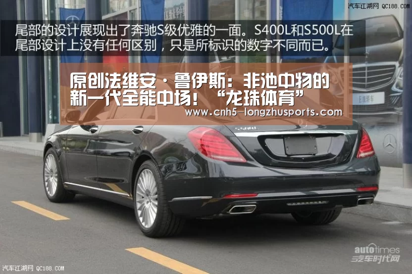 龙珠体育体育