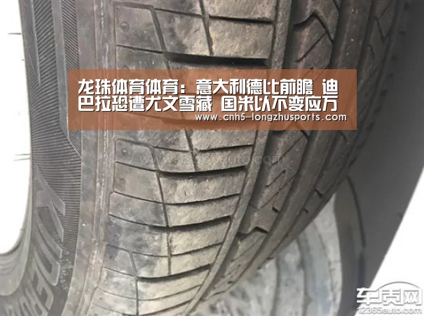 龙珠体育体育