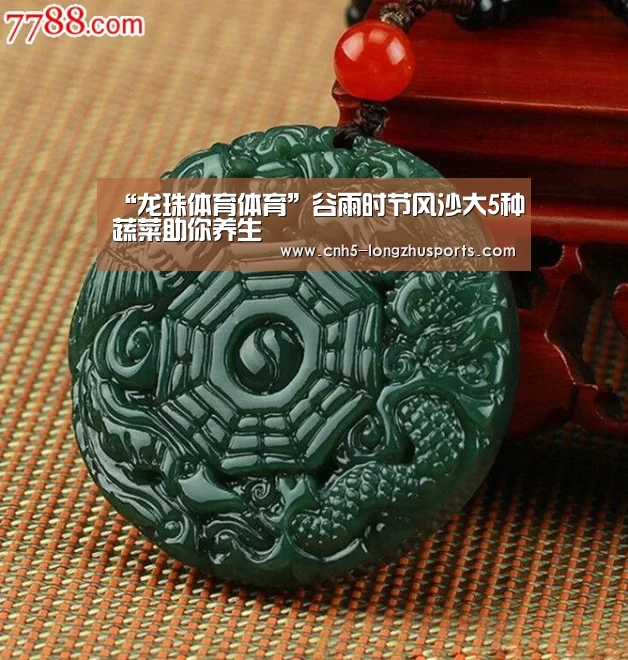 龙珠体育体育