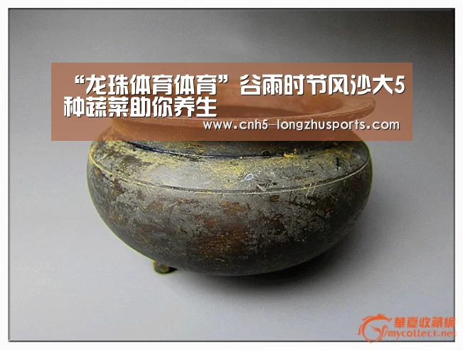 龙珠体育