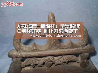 龙珠体育体育