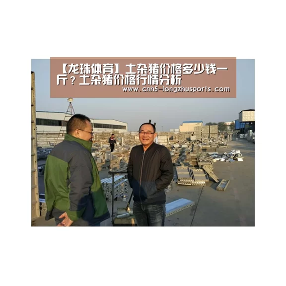 【龙珠体育】土杂猪价格多少钱一斤?土杂猪价格行情分析(图2) 龙珠体育体育