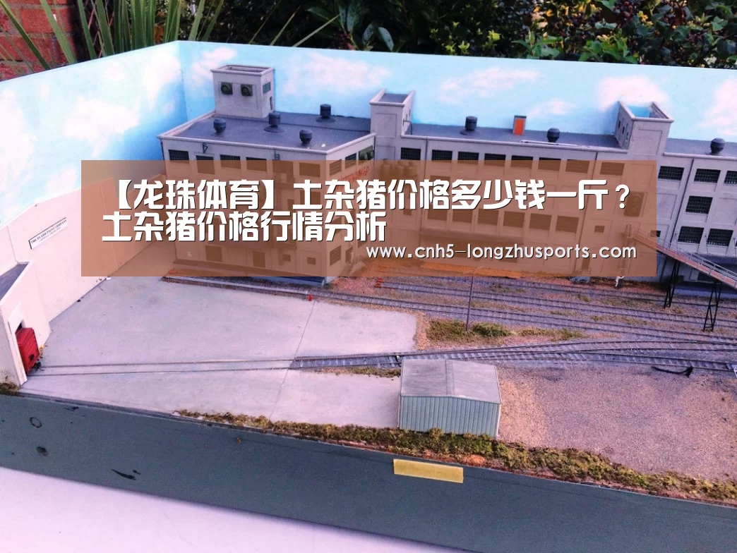 【龙珠体育】土杂猪价格多少钱一斤?土杂猪价格行情分析(图1) 龙珠体育