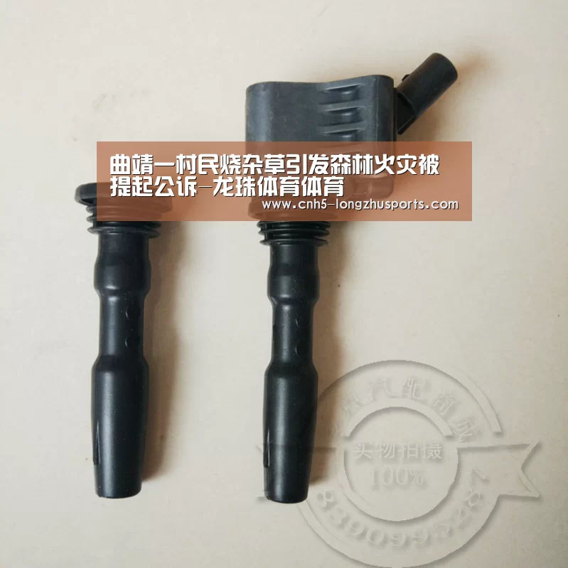 龙珠体育