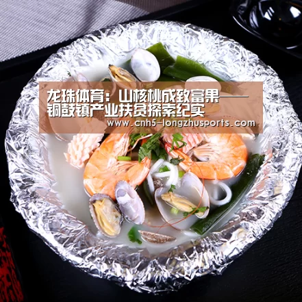 龙珠体育体育