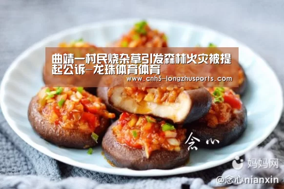 龙珠体育