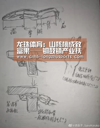 龙珠体育