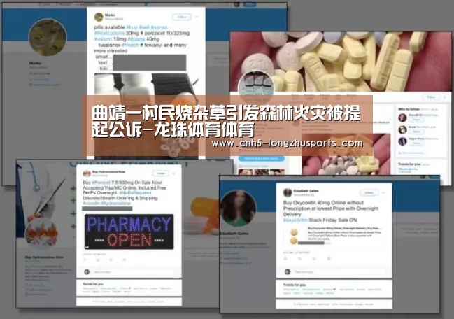 龙珠体育体育