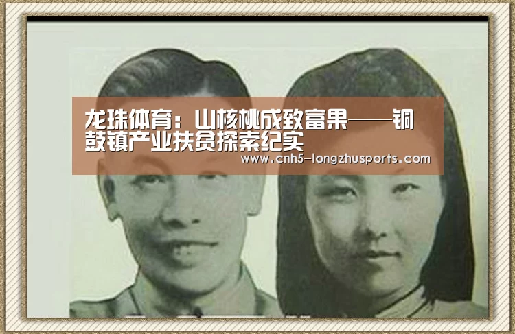 龙珠体育体育