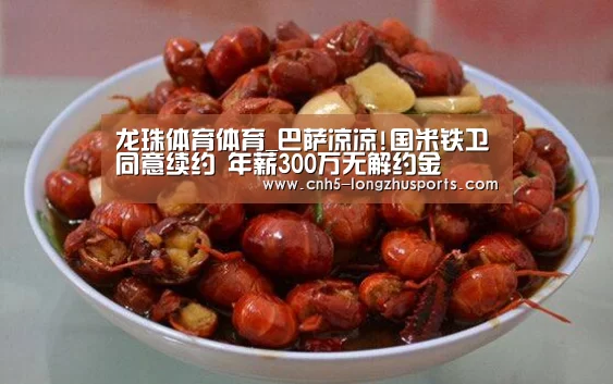 龙珠体育体育