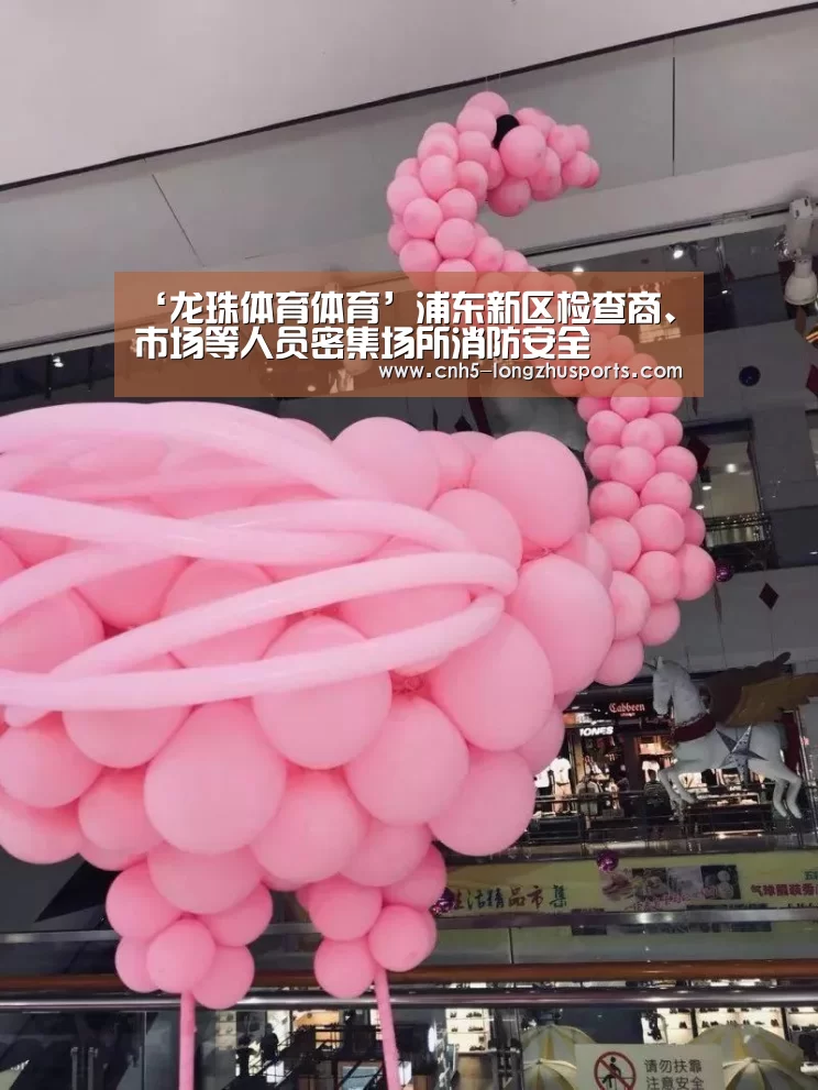 ‘龙珠体育体育’浦东新区检查商、市场等人员密集场所消防安全(图2) 龙珠体育体育