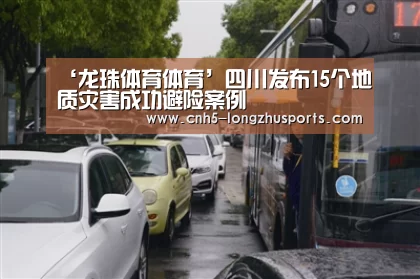 ‘龙珠体育体育’四川发布15个地质灾害成功避险案例(图1) 龙珠体育体育