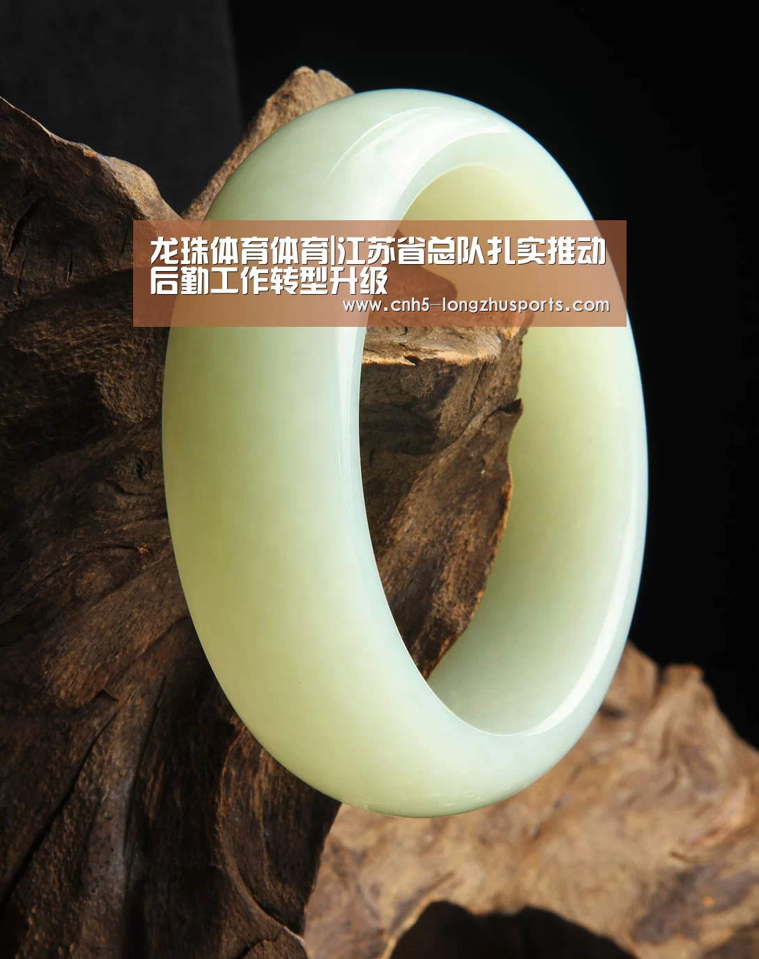 龙珠体育体育|江苏省总队扎实推动后勤工作转型升级(图4) 龙珠体育