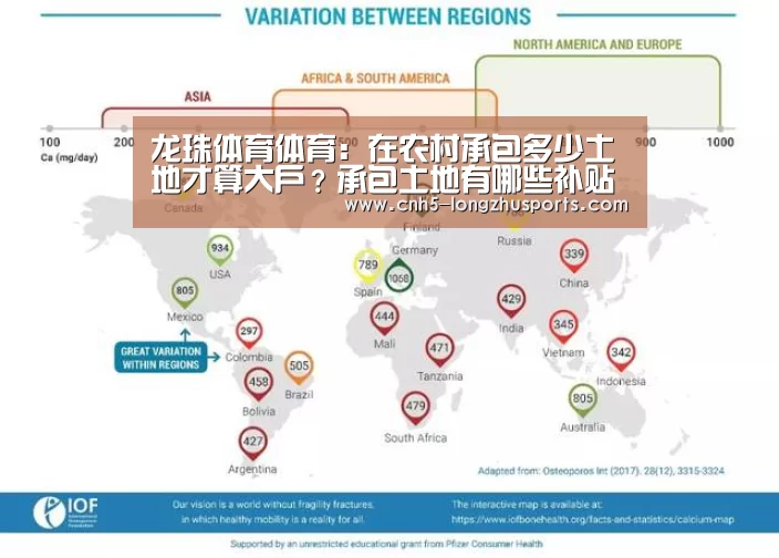龙珠体育