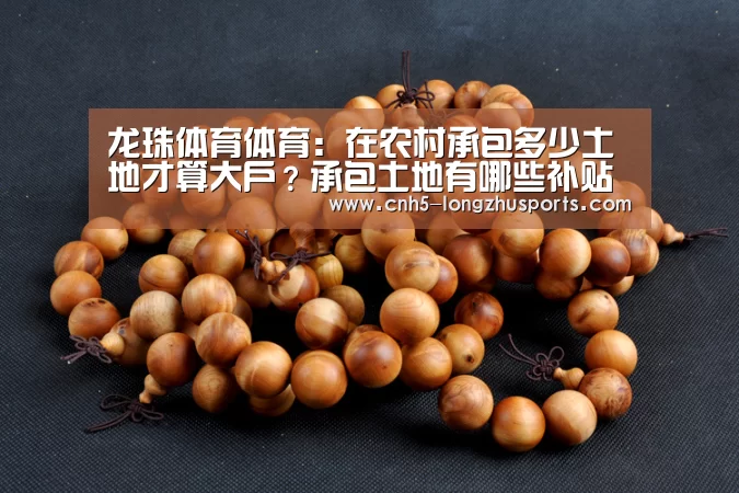 龙珠体育体育