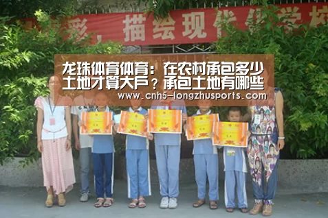 龙珠体育