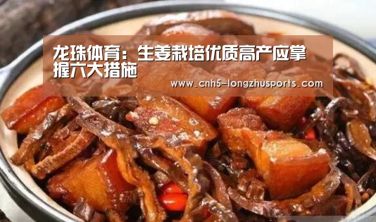 龙珠体育:生姜栽培优质高产应掌握六大措施(图3) 龙珠体育体育