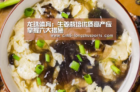 龙珠体育:生姜栽培优质高产应掌握六大措施(图2) 龙珠体育体育