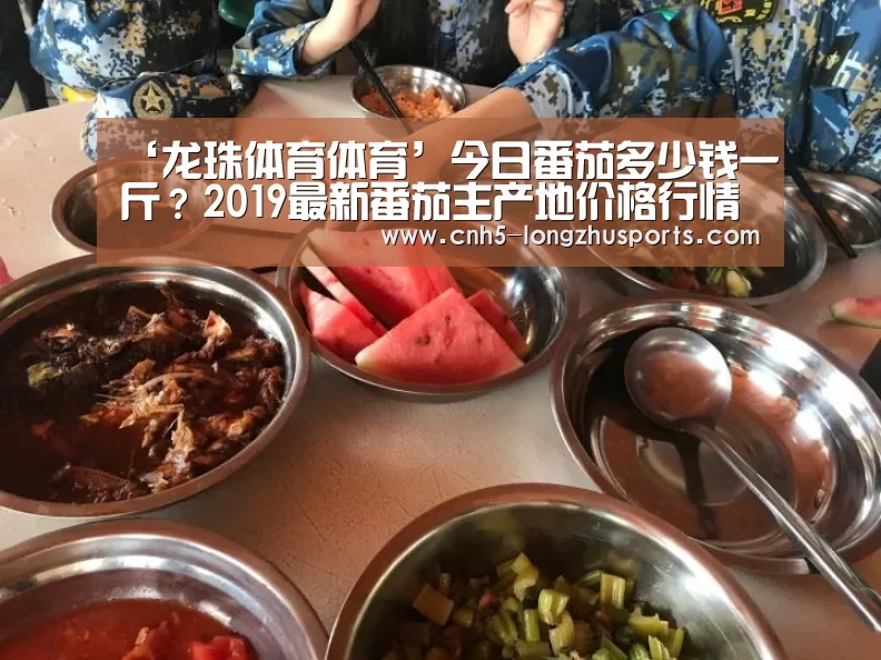 ‘龙珠体育体育’今日番茄多少钱一斤?2019最新番茄主产地价格行情(图2) 龙珠体育体育