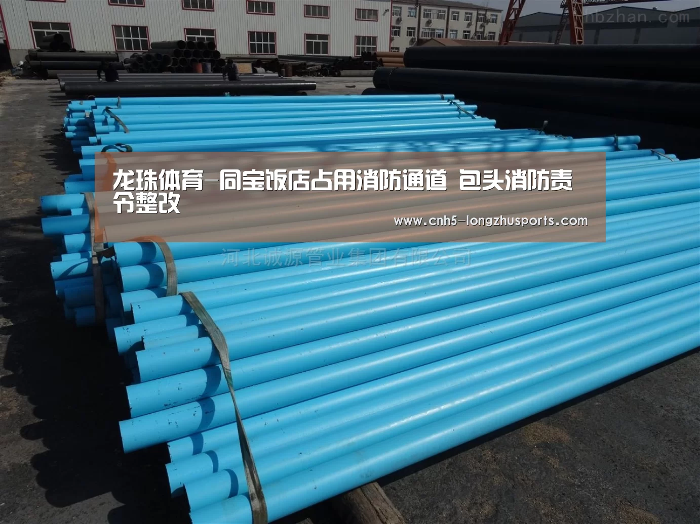 龙珠体育