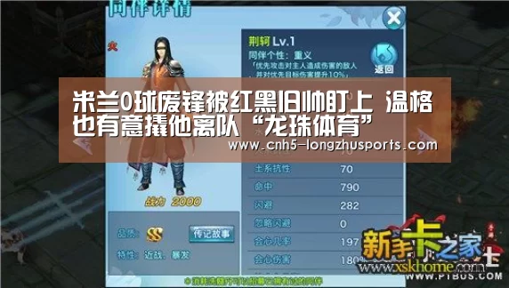 龙珠体育